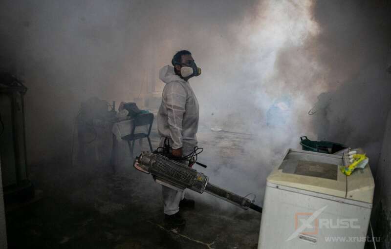 Смерть от лихорадки денге в Перу утроилось – виноваты комары